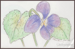 violet flower and leaves