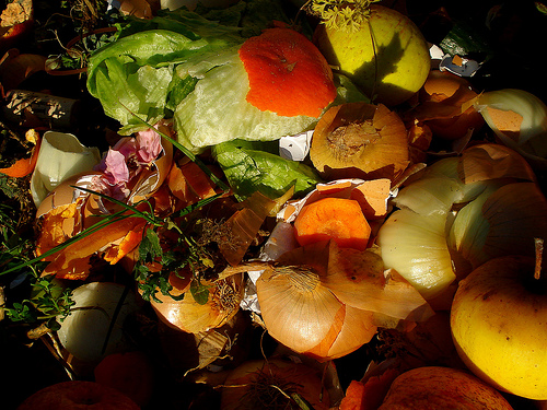 Still life on composter