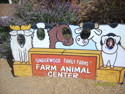 Preschool Veggie Picking Field Trip