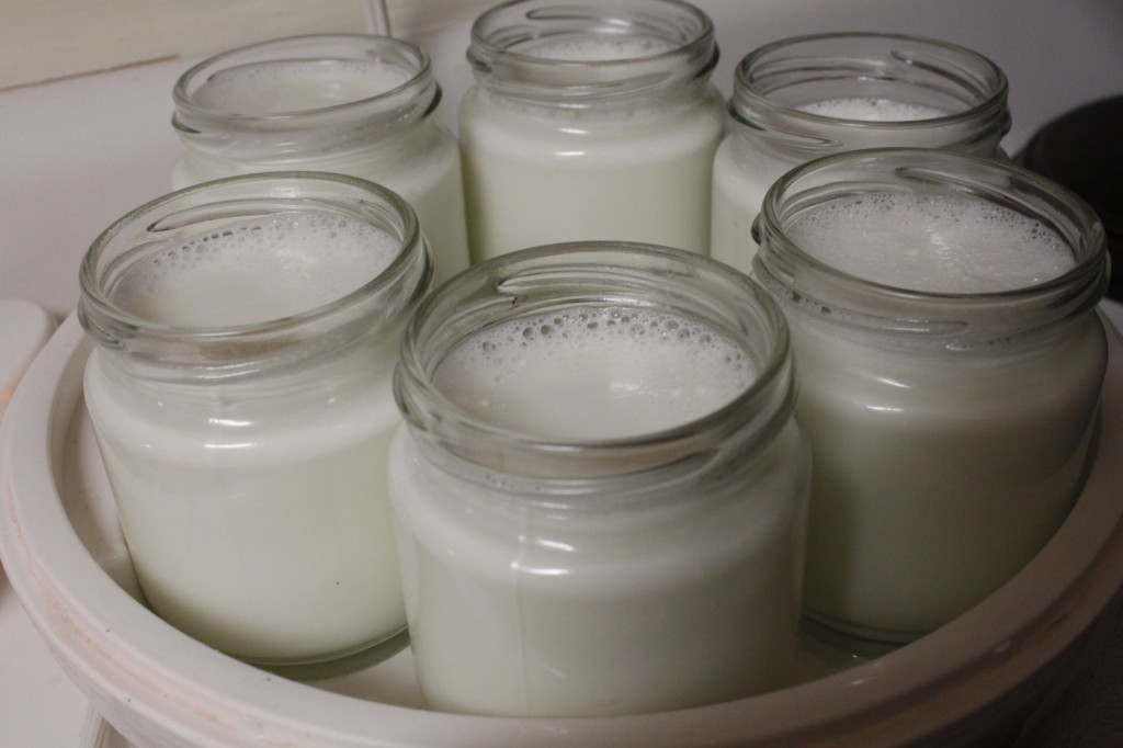 Yogurt Machine