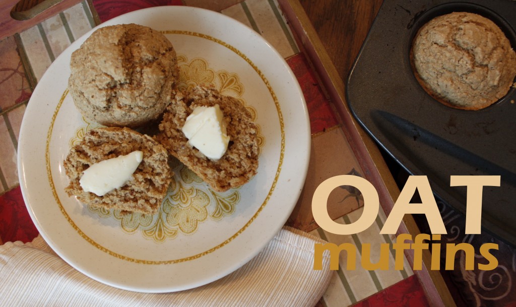 oat muffins