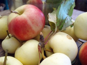 Apples